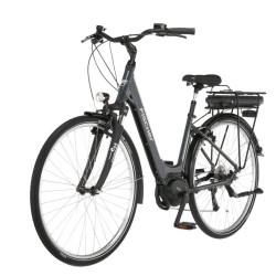 Rower elektryczny Fischer Cita 1.5 28″ 418Wh 250W