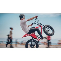 Rower Elektryczny GasGas Moto 1 Cruiser Bafang 504Wh